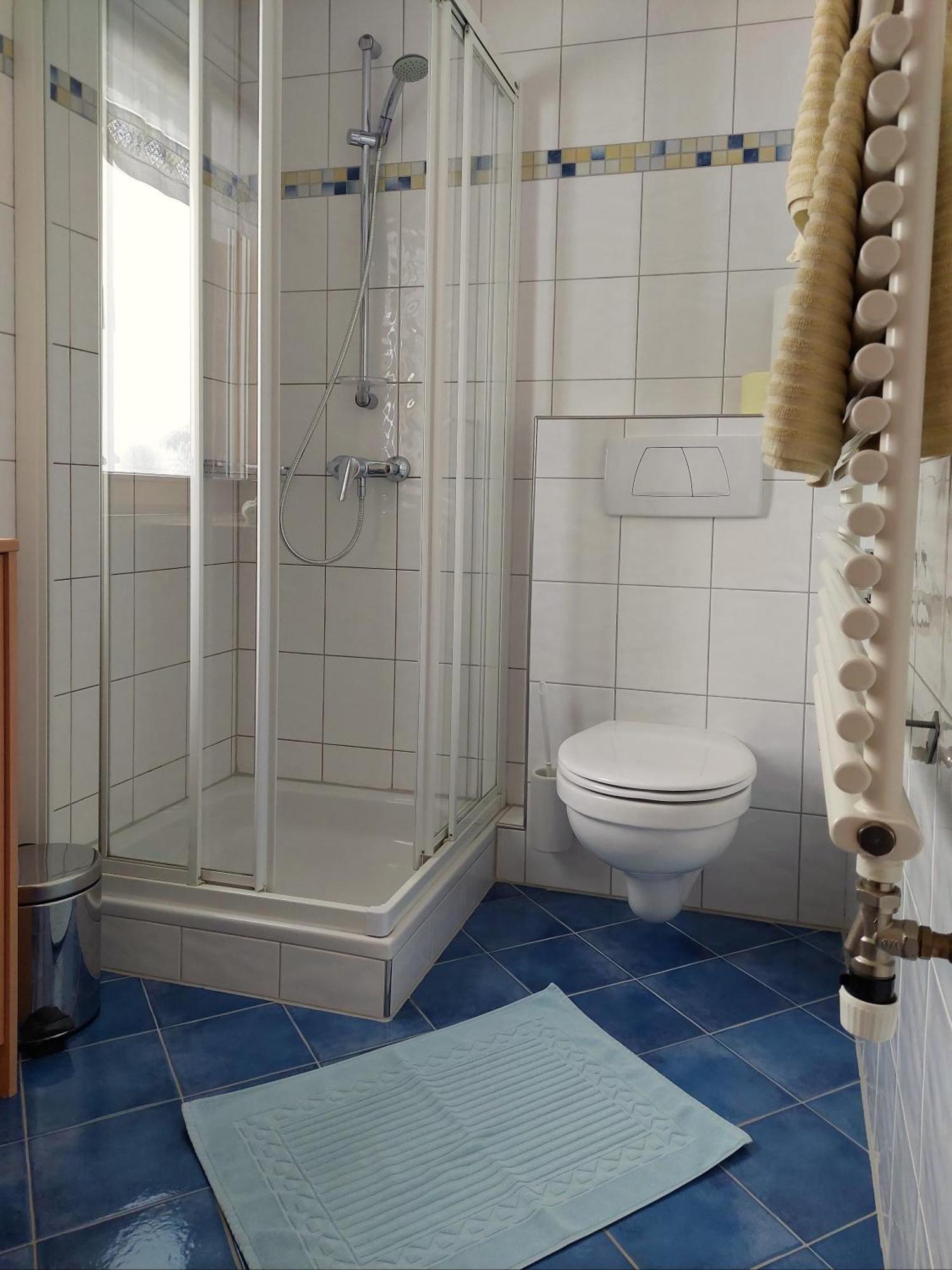 Appartement Moosbrugger Haus Elisabeth Schoppernau Dış mekan fotoğraf
